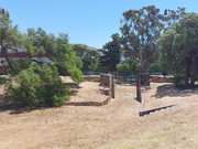 IMG-20250122-WA0171