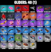 gliders-comp
