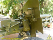DSCN6748