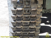 IMG-8328