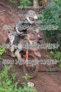 IMG-0312