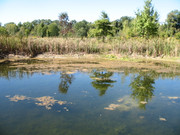 [Image: IMG-2667.jpg]