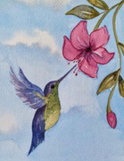 Hummingbird
