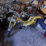 20221011-151155.jpg