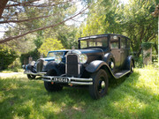 IMG-20210606-124618-5.jpg