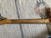 IMG-3274