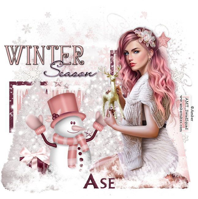 Ase 2025Winter Season Amb