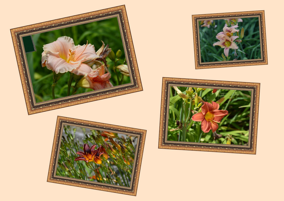 Новый коллаж.jpg 8