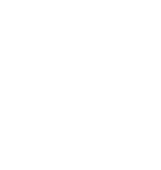 camel-1.png