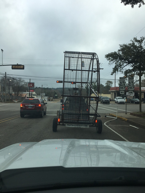 Hog Traps Cattletoday Com