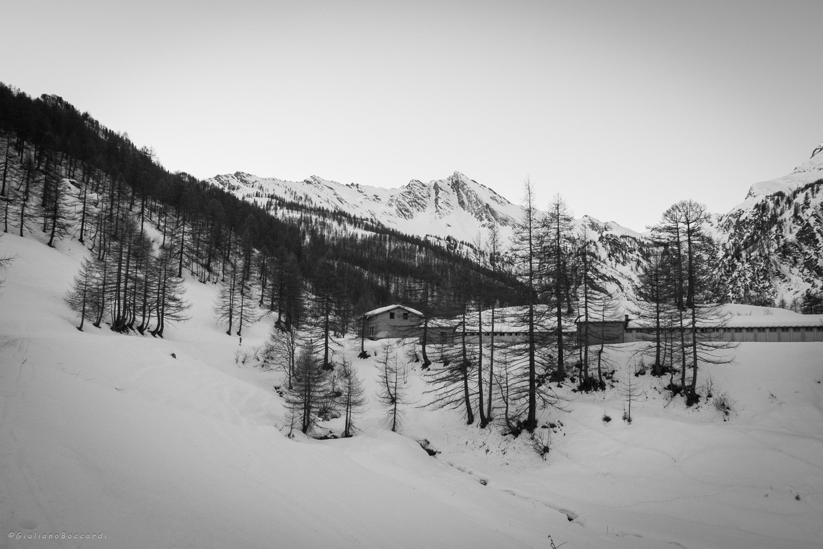 DSCF0660