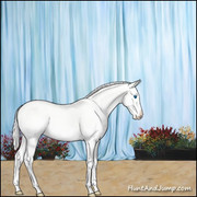 BBST Curtain Backdrop Light Blue