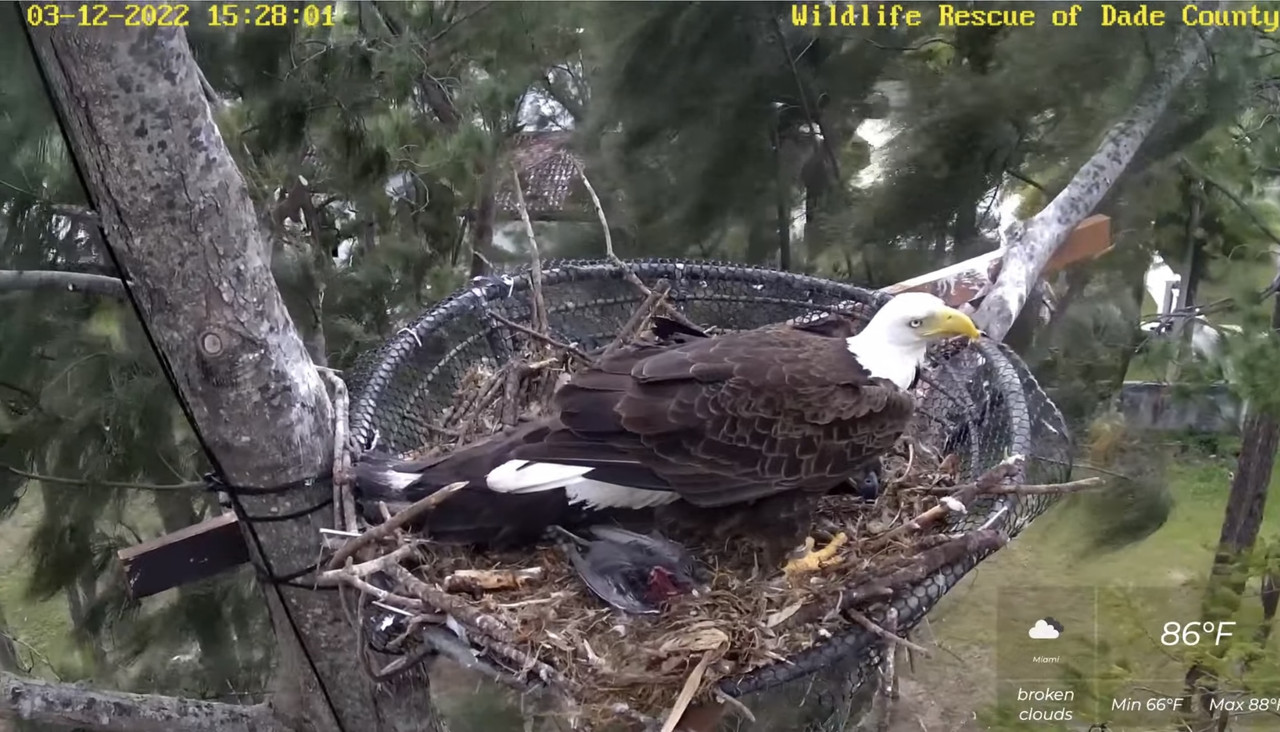 4D403821-5AE3-4284-A31B-3C93CB583A36