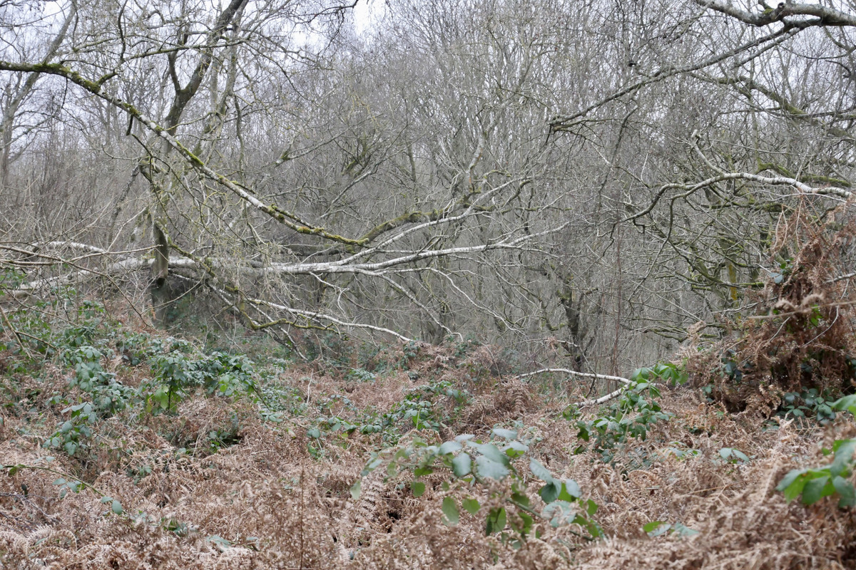 A3396175-191D-48D9-AACB-7892C0DA2757