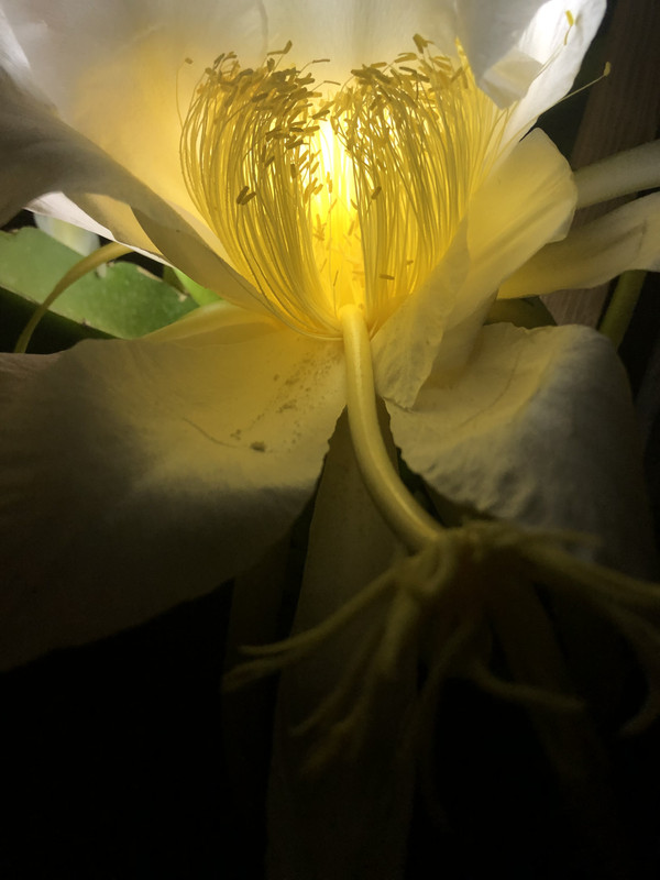 70D55F03-C218-4806-ACED-56BBD340E1C9