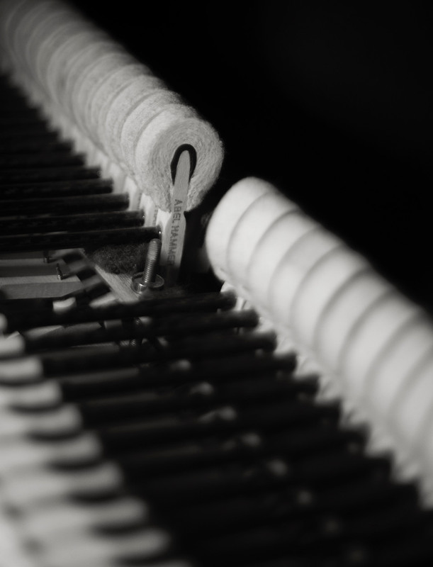 5B78BF47-27EF-41F4-B99C-D0F038FE2290