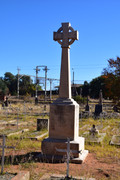 DSC-0100