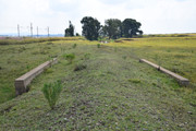 DSC-0074