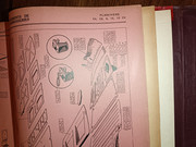 IMG-20251114-195527.jpg