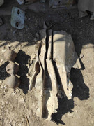 440876728_1162111821654554_7607069906778444684_n