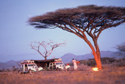Bivouac-TMT.jpg