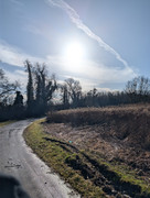 PXL 20260207 100634325