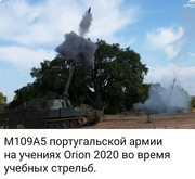 https://i.postimg.cc/PPBmhtVL/photo-2026-04-30-16-52-52.jpg