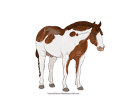 BE663CCE-1B97-47A2-90C4-0D87D2128580