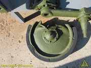 IMG-0890