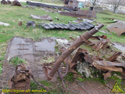 DSCN6781