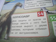 https://i.postimg.cc/PPH4yd6K/100-8072.jpg