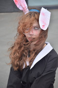 DSC-0085