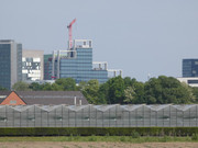 P1020009