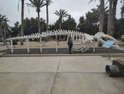 IMG-20260617-095340177-HDR