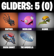 gliders-comp