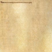 JH-COI-Paper01