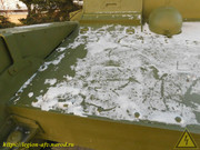 DSCN6205