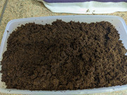 photo5424791081125524442