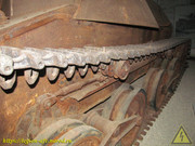 IMG-6016