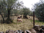 IMG-20260103-WA0055