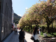 photo 21 2025 12 17 21 28 21