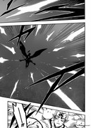 black-clover-11975863