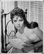jocelyn-lane-a67