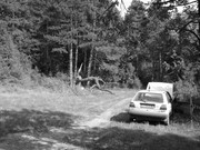 ADP System Pancharevo 2009 (25)