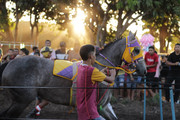 IMG-6270