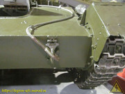 IMG-3626