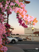 photo 10 2025 12 12 15 33 53