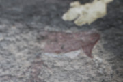IMG-0724
