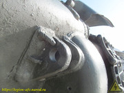 IMG-3706