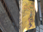 user posted image